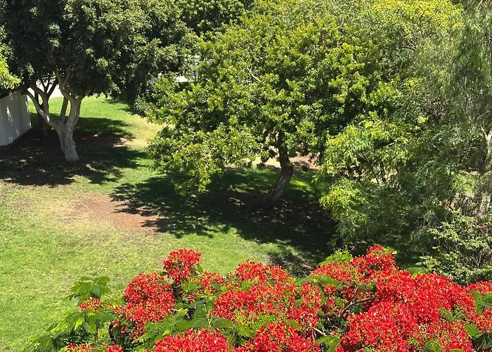 Brisas Seaview - Apartamento Costa Adeje (Tenerife)